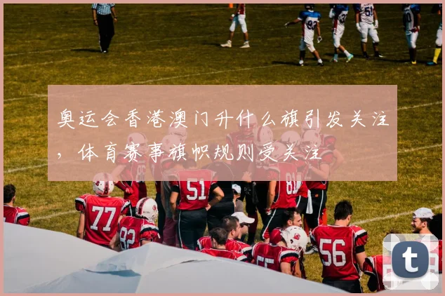 奥运会香港澳门升什么旗引发关注,体育赛事旗帜规则受关注